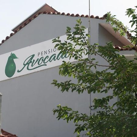 Pension Avocado Città di Skiathos Esterno foto